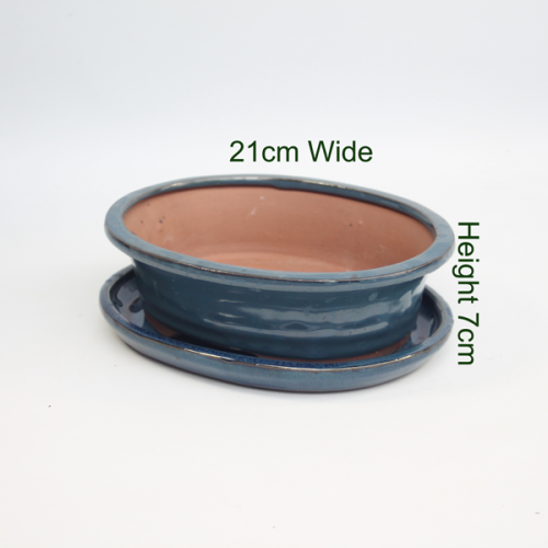 Bonsai Tree Pot Glazed With Tray available to buy online from All Things Bonsai Sheffield Yorkshire with free UK delivery