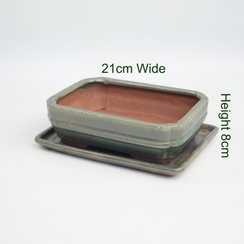 Bonsai Tree Pot Glazed With Tray available to buy online from All Things Bonsai Sheffield Yorkshire with free UK delivery