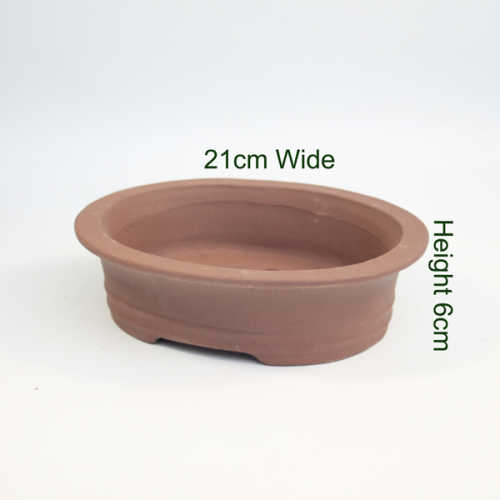 8 Inch Unglazed Bonsai Pot Number 1 available to buy online from All Things Bonsai Sheffield Yorkshire with free UK delivery