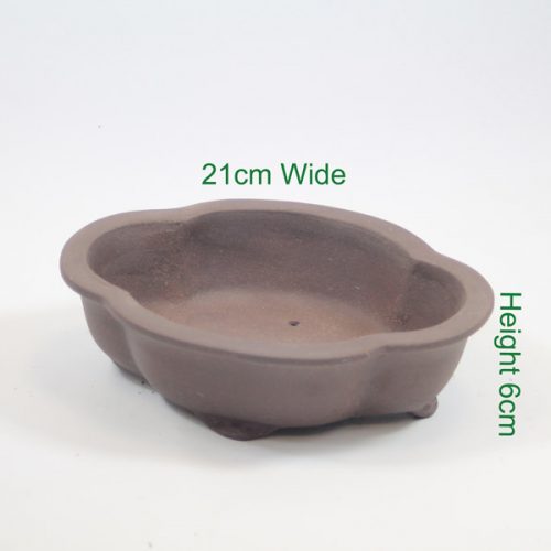 8 Inch Unglazed Bonsai Pot Number 4 available online from All Things Bonsai Sheffield Yorkshire