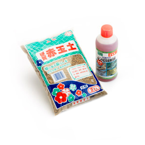 Category Bonsai Feeds