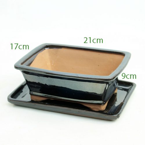 8 Inch Glazed Bonsai Pot With Matching Tray Black Rectangle available to buy from All Things Bonsai Sheffield Yorkshire with free UK delivery