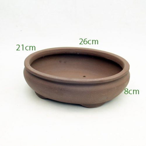 10 Inch Unglazed Bonsai Pot Number 1 available to buy from All Things Bonsai Sheffield Yorkshire with free UK delivery
