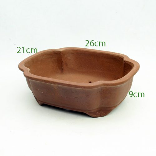 10 Inch Unglazed Bonsai Pot Number 2 available to buy from All Things Bonsai Sheffield Yorkshire with free UK delivery