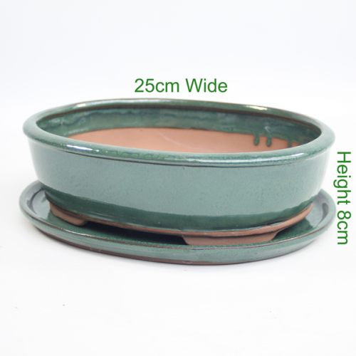 Bonsai Tree Pot green glazed oval available to buy online from All Things Bonsai Sheffield Yorkshire with free UK delivery