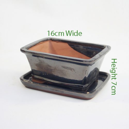 6 Inch Black Rectangular Glazed Bonsai Pot With Matching Tray available to buy online from All Things Bonsai Sheffield Yorkshire with free UK delivery