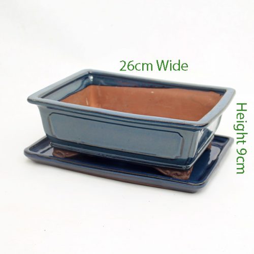 10 Inch Glazed Bonsai Pot With Matching Tray Blue Rectangle available to buy online from All Things Bonsai Sheffield Yorkshire with free UK delivery