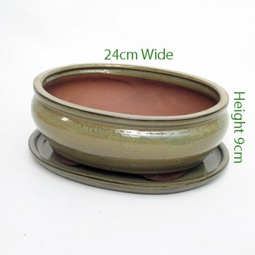 10 Inch Glazed Bonsai Pot With Matching Tray Taupe Oval available to buy online from All Things Bonsai Sheffield Yorkshire with free UK delivery