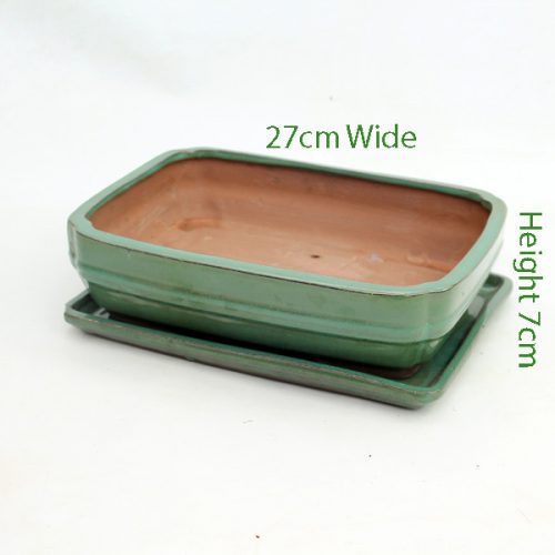 10 Inch Glazed Bonsai Pot And Tray Green Rectangle available to buy online from All Things Bonsai Sheffield Yorkshire with free UK delivery