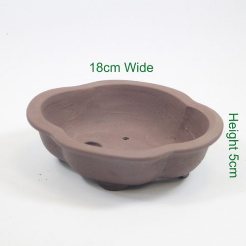 Bonsai tree unglazed pot available online from All Things Bonsai Sheffield Yorkshire