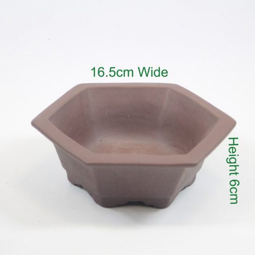Bonsai tree unglazed pot available online from All Things Bonsai Sheffield Yorkshire