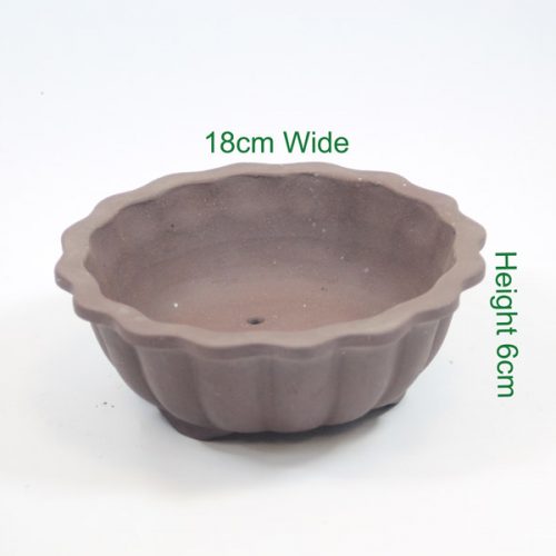 Bonsai tree unglazed pot available online from All Things Bonsai Sheffield Yorkshire