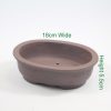 Bonsai tree unglazed pot available online from All Things Bonsai Sheffield Yorkshire