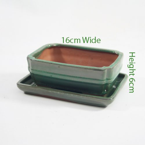 6 Inch Green Rectangular Glazed Bonsai Pot With Matching Tray available to buy online from All Things Bonsai Sheffield Yorkshire with free UK delivery