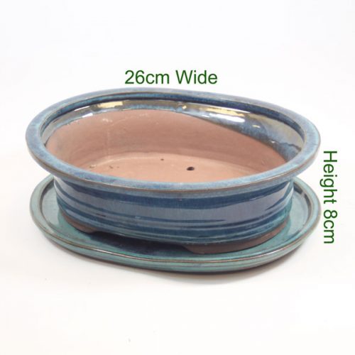 Bonsai Tree Pot Glazed available to buy onliine from All Things Bonsai Sheffield Yorkshire with free UK delivery