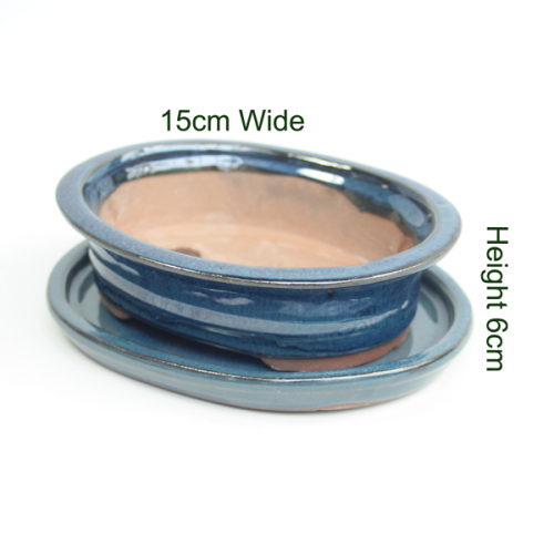 Bonsai tree glazed pot with tray available online from All Things Bonsai Sheffield Yorkshire