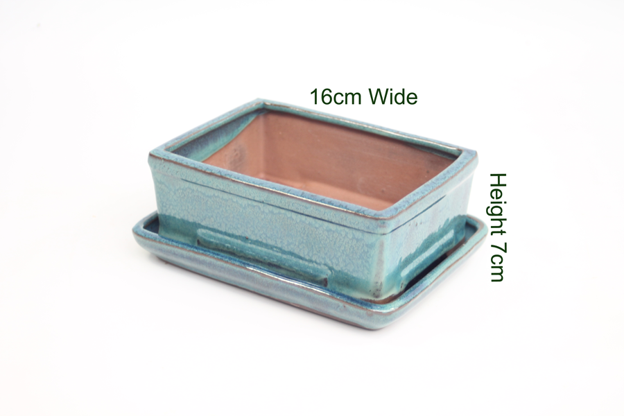 6 Inch Aqua Rectangular Glazed Bonsai Pot With Matching Tray ALL