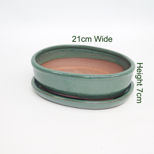 Bonsai Tree Pot Glazed With Tray available to buy online from All Things Bonsai Sheffield Yorkshire with free UK delivery