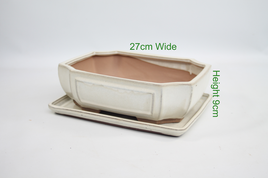 10 Inch Glazed Bonsai Pot And Tray Cream Rectangle ALL THINGS BONSAI