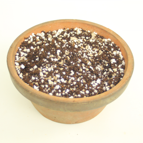 Indoor Bonsai Tree Soil Mix available to buy online from All Things Bonsai Sheffield Yorkshire with free UK delivery