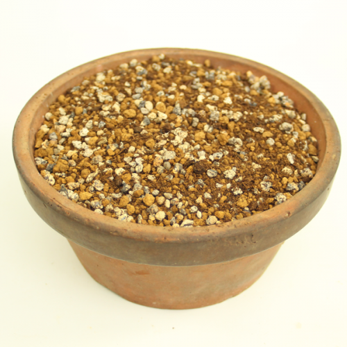 Indoor Bonsai Tree Soil Mix available to buy online from All Things Bonsai Sheffield Yorkshire with free UK delivery