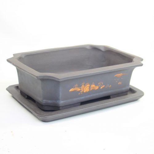 Bonsai Pots and Trays Archives ALL THINGS BONSAI