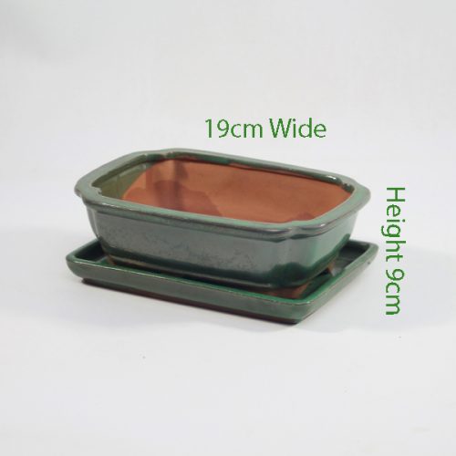 7 Inch Glazed Bonsai Pot With Matching Tray Green Rectangle available to buy online from All Things Bonsai Sheffield Yorkshire with free UK delivery
