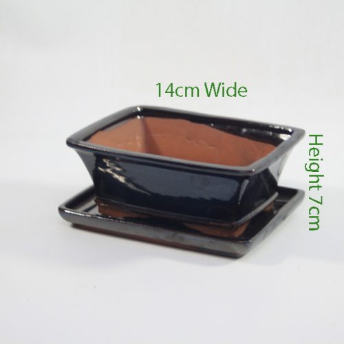 7 Inch Glazed Bonsai Pot With Matching Tray Black Rectangle available to buy online from all things bonsai Sheffield Yorkshire with free UK delivery