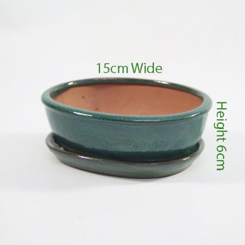 7 Inch Glazed Bonsai Pot With Matching Tray Green Oval available to buy online from all things bonsai Sheffield Yorkshire with free UK delivery