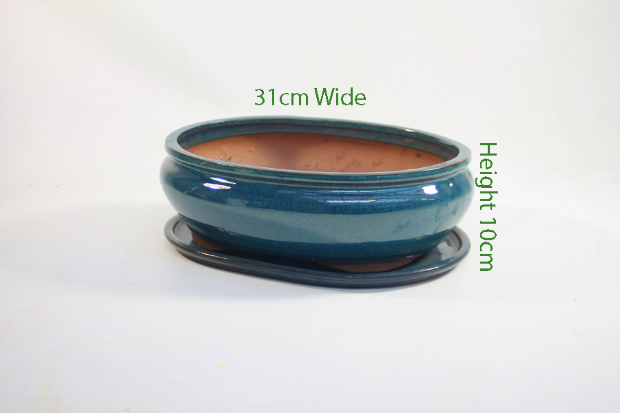 12 Inch Glazed Bonsai Pot And Tray Blue Oval 2 available to buy online from All Things Bonsai Sheffield Yorkshire with free UK delivery