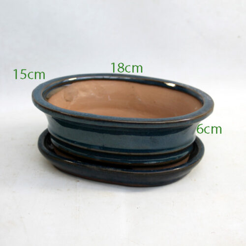 7 Inch Glazed Bonsai Pot With Matching Tray Blue Oval available to buy online from All Things Bonsai Sheffield Yorkshire with free UK delivery