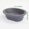 Unglazed Bonsai Pot Code 87869 Small available to buy online from All Things Bonsai Sheffield Yorkshire with free UK delivery