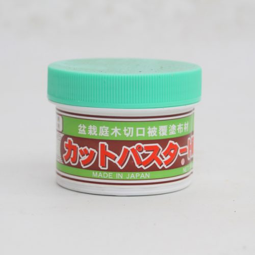 Bonsai Cut Paste Green Top available to buy online from All Things Bonsai Sheffield Yorkshire with free UK delivery