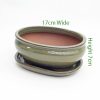7 Inch Glazed Bonsai Pot With Matching Tray Taupe Oval 2 available to buy online from All Things Bonsai Sheffield Yorkshire with free UK delivery