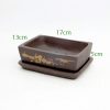 Painted Unglazed Bonsai Pot code 136290c available to buy from All Things Bonsai Sheffield Yorkshire with free UK delivery