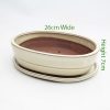 10 Inch Glazed Bonsai Pot And Tray Cream Oval available to buy online from All Things Bonsai Sheffield Yorkshire with free UK delivery