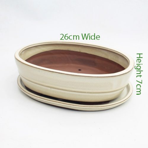 10 Inch Glazed Bonsai Pot And Tray Cream Oval available to buy online from All Things Bonsai Sheffield Yorkshire with free UK delivery
