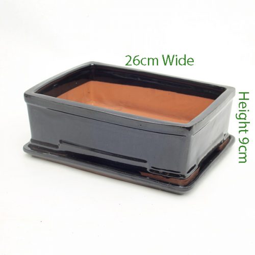 10 Inch Glazed Bonsai Pot And Tray Black Rectangle 2 available to buy online from All Things Bonsai Sheffield Yorkshire with free UK delivery