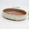 Glazed Bonsai Pot code 058 Medium available to buy online from All Things Bonsai Sheffield Yorkshire with free UK delivery