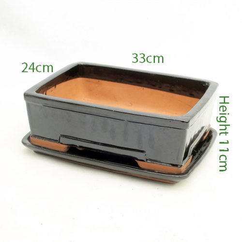 12 Inch Glazed Bonsai Pot And Tray Black Rectangle available to buy online from All Things Bonsai Sheffield Yorkshire with free UK delivery