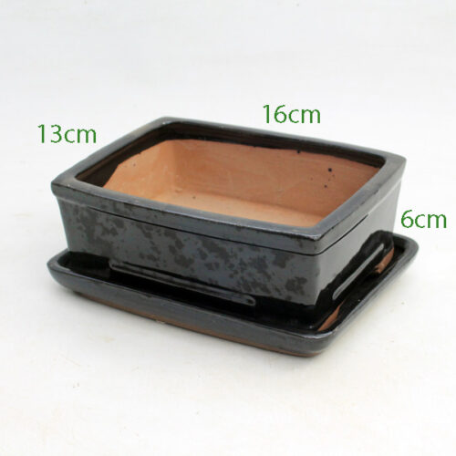 6 Inch Black Rectangular Glazed Bonsai Pot With Matching Tray Style 2 available to buy from All Things Bonsai Sheffield Yorkshire with free UK delivery