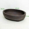 Unglazed Bonsai Pot code UK6 Medium available to buy from All Things Bonsai Sheffield Yorkshire with free UK delivery