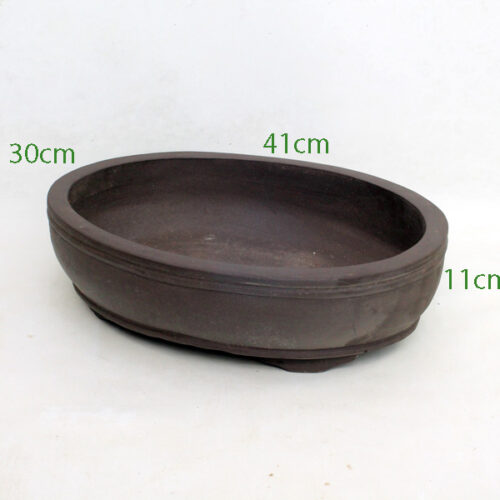 Unglazed Bonsai Pot code UK6 Medium available to buy from All Things Bonsai Sheffield Yorkshire with free UK delivery
