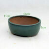 5 Inch Glazed Bonsai Pot Green Oval available to buy from All Things Bonsai Sheffield Yorkshire with free UK delivery