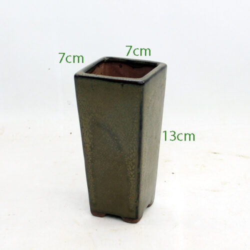 Cascade Bonsai Pot Taupe Code S1725 available to buy from All Things Bonsai Sheffield Yorkshire with free UK delivery