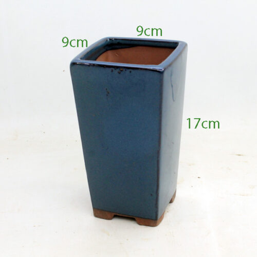 Cascade Bonsai Pot Blue code S1735 available to buy from All Things Bonsai Sheffield Yorkshire with free UK delivery