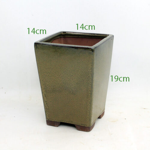 Cascade Bonsai Pot Taupe code S65 available to buy from All Things Bonsai Sheffield Yorkshire with free UK delivery