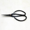 Small Bonsai Scissors available to buy from All Things Bonsai Sheffield Yorkshire with free UK delivery