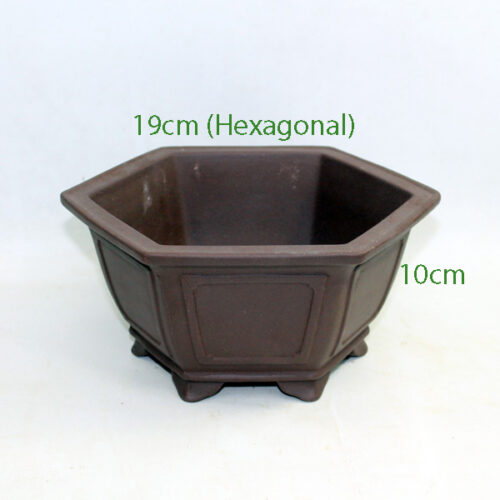 Cascade Bonsai Pot code LU6 available to buy online from All Things Bonsai Sheffield Yorkshire with free UK delivery