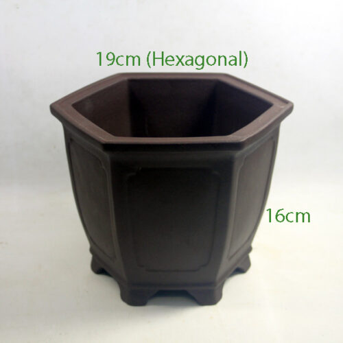 Cascade Bonsai Pot code LU7 available to buy online from All Things Bonsai Sheffield Yorkshire with free UK delivery